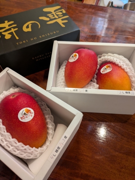 時の雫